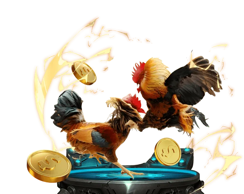 Hướng dẫn bảo mật tài khoản ZIK88